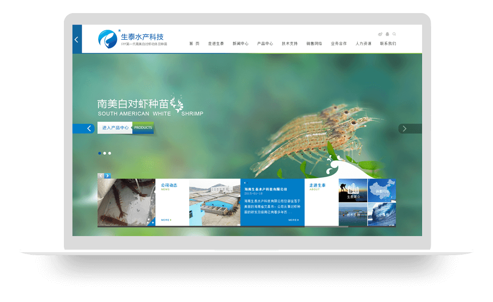 海南生泰水產(chǎn)產(chǎn)品展示網(wǎng)站建設(shè)